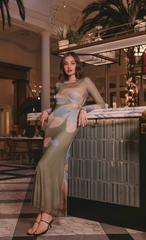 Olive Floral Mesh Long Sleeve Maxi Dress
