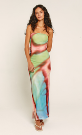 Multi Butterfly Blur Mesh Maxi Dress